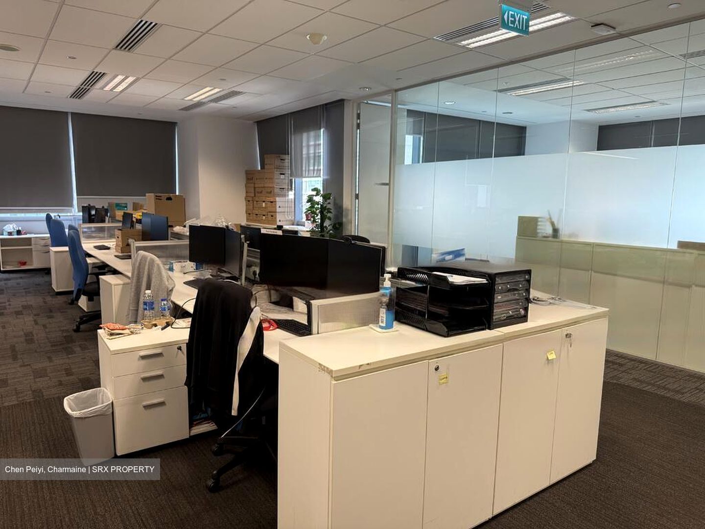 Mapletree Anson (D2), Office #451553951